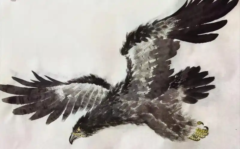 【国画绘画过程】大鹰展翅的水墨写意画法
