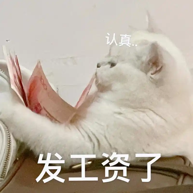 猫咪表情包 关于糯糯大晚上从我包里掏出钱这件事 - 抖音