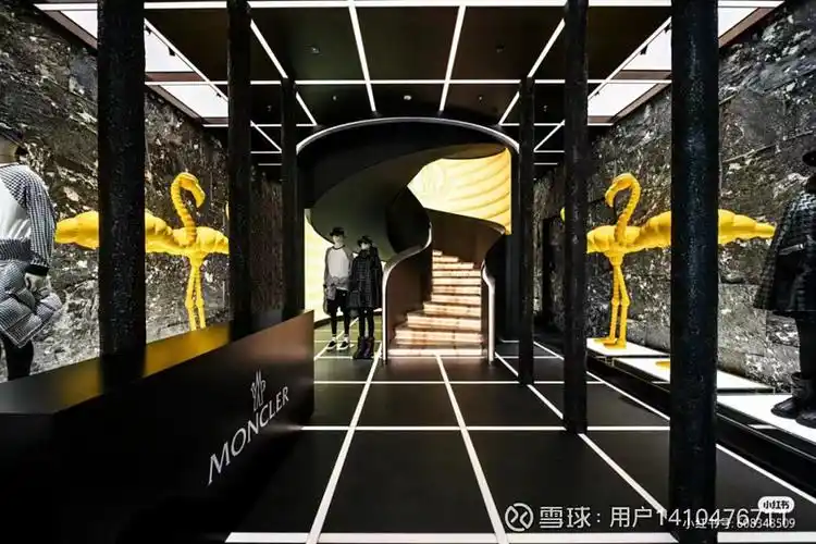 主编 | 付庆荣 编辑 | 熊