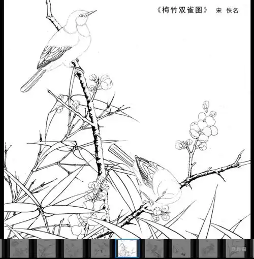 电子版高清工笔宋代花鸟白描底稿线描宋代小品初学临摹素材40张