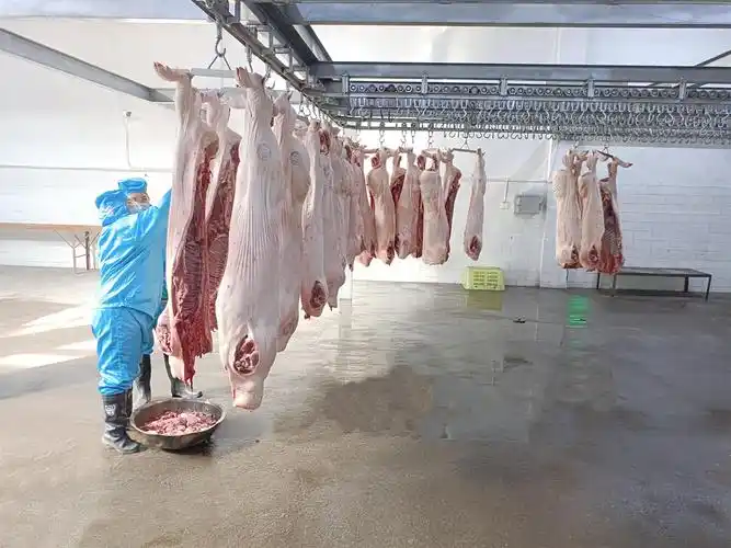 喜讯!嘉峪关天兆新鲜猪肉上市啦