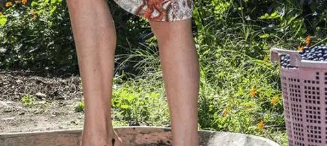 全球最顶级的葡萄酒,却是少女用赤脚踩出,看完你还敢喝吗?|美酒|酿酒|