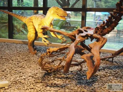 图片附件: [迅掠龙]  55.jpg (2013-4-7   :   am, 223.56 k)