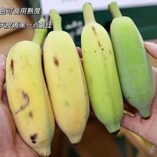 海南新鲜五指山芭蕉软糯香甜海南三亚直发海南野生香蕉