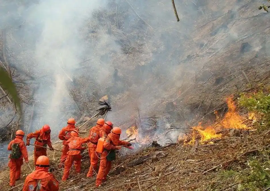 致敬凉山森林火灾牺牲消防员.再过两天就四周年整了.
