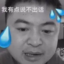 我有点说不出话(丽丽表情包)_丽丽_说不出_有点表情