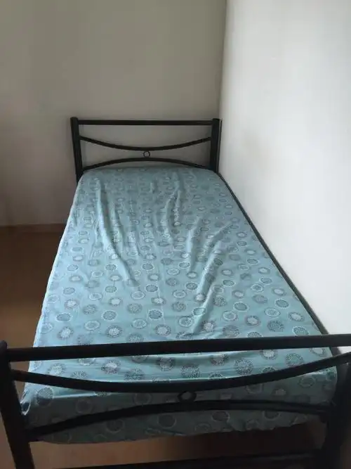 单人床 床垫  --- s$30 ,s$50 2套