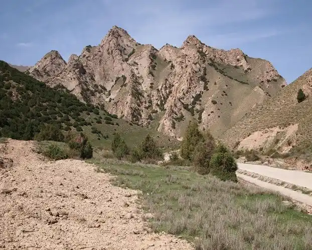 新疆叶城 坡陇原始森林风景区