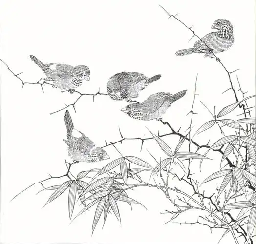 宋代花鸟小品白描稿分享