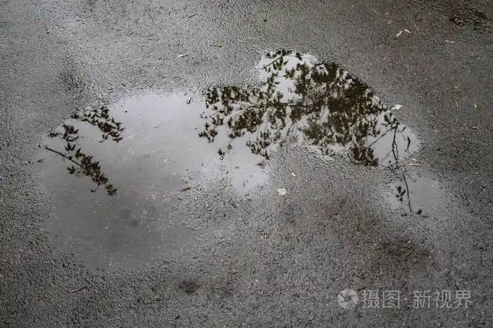 沥青上的水坑