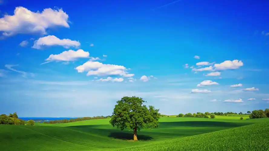 蓝天白云绿色草地桌面壁纸