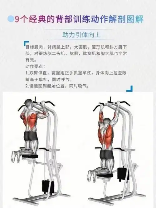 让你学会怎样练背!提升宽度厚度