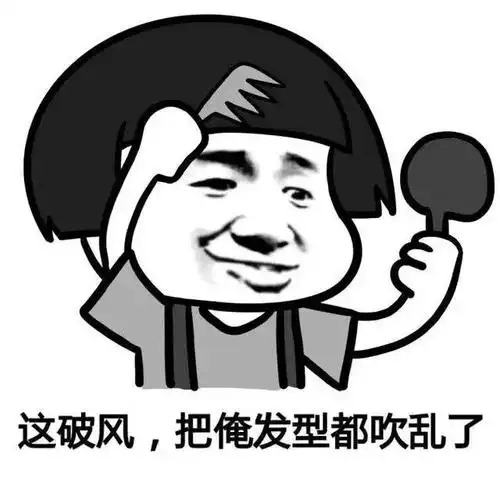 这破风,把俺发型都吹乱了 - 斗图表情包 - 斗图神器 - adoutu.com