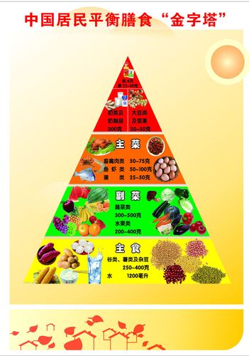 566海报印制海报展板素材313医院知识居民膳食金字塔
