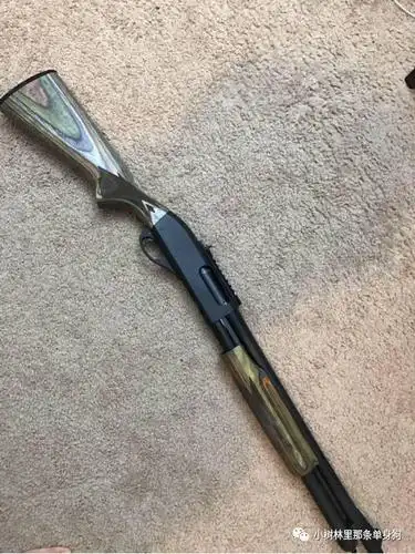 the art of the shotgun-霰弹枪的乐趣和魅力