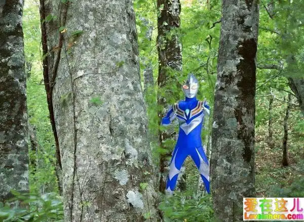 广东一农民拍到野生奥特曼