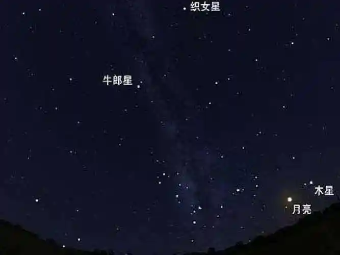 织女星不仅是天琴座中最明亮的恒星,在夜空中的亮度更是排名第五.