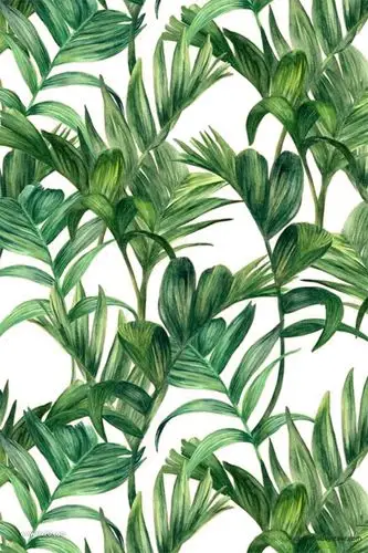 森系北欧热带雨林手绘水彩树叶插画png设计素材