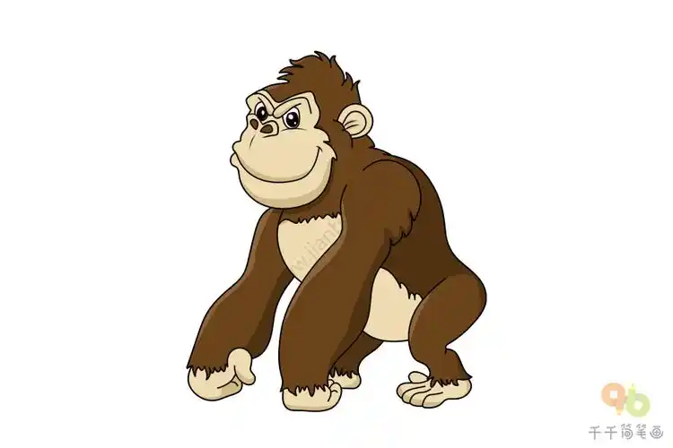 强壮的黑猩猩简笔画_陆地动物简笔画