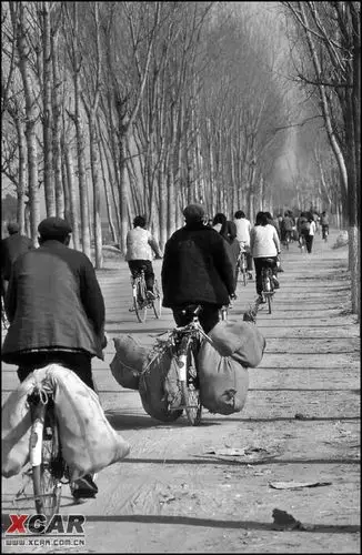 > 难得的80年代照片组 经典>~~~~~~~