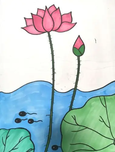 儿童画荷花
