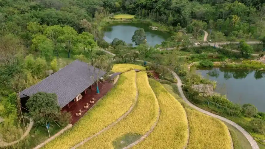大科学装置长江模拟器落地重庆广阳岛智创生态城
