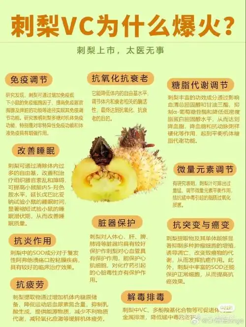 贵州刺梨可以摘啦!今年新鲜刺梨