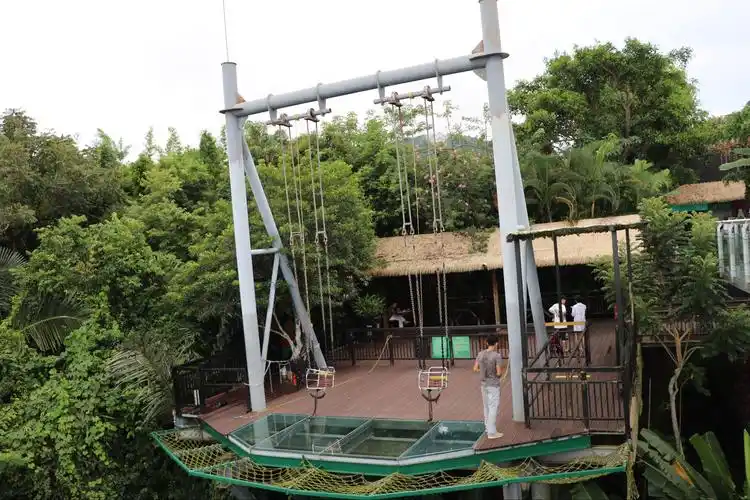 穿梭热带雨林—-呀诺达