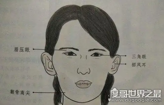 四大克夫相的特征图片参考,颧骨突露最典型(不要沉迷其中) — 世界之