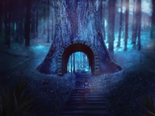 幽灵城堡与魔法森林