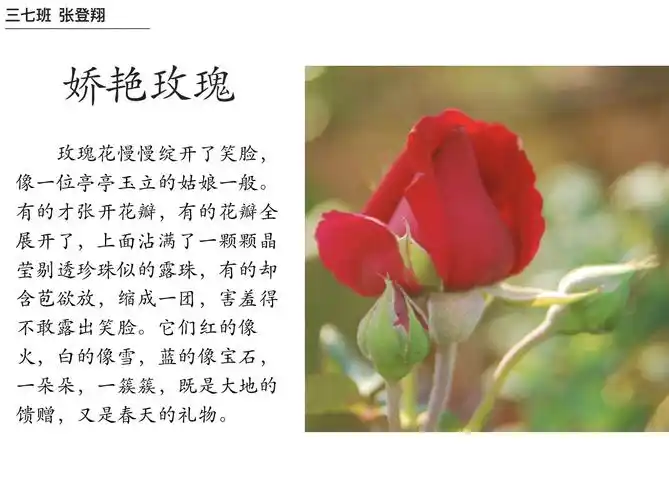 【三小心语】山河四季 别来无恙