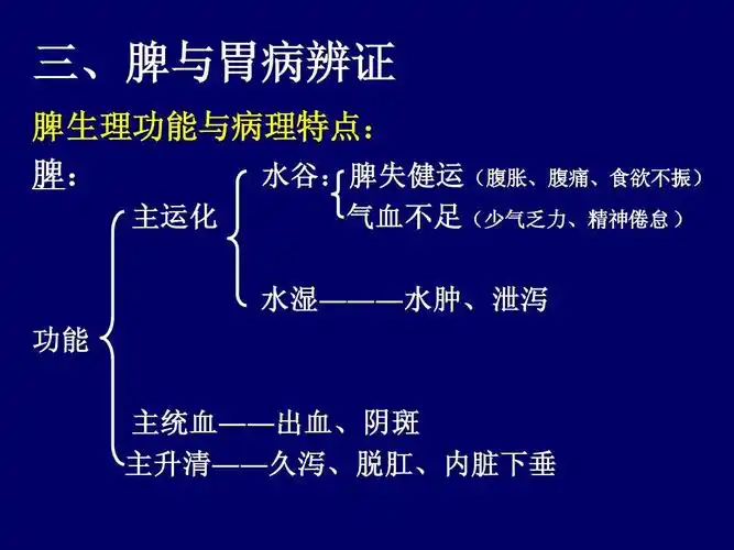 功能 主统血――出血,阴斑 主升清――久泻,脱肛,内脏下垂