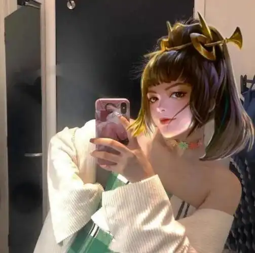 一组按上假头的王者荣耀英雄头像,毫无违和感