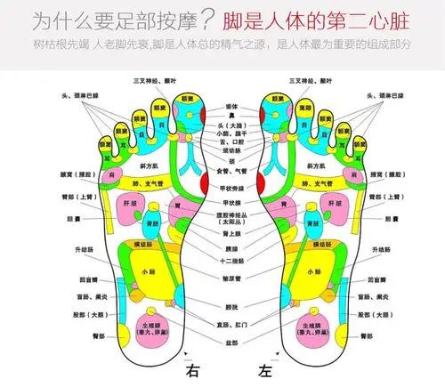 【medisana88395足疗机】马德保康(medisana)足底按摩器88395按脚器