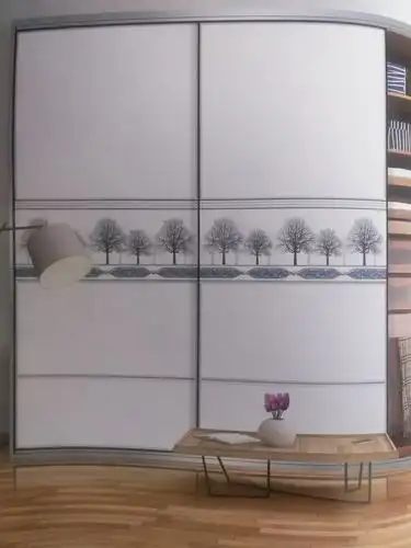 奥文轩衣柜门图案