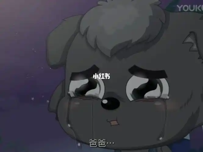 小灰灰等了15年