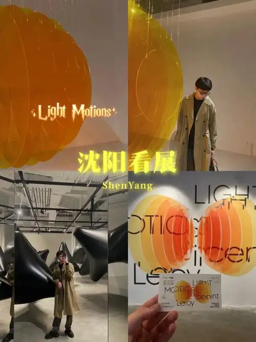 沈阳新展k11发光体