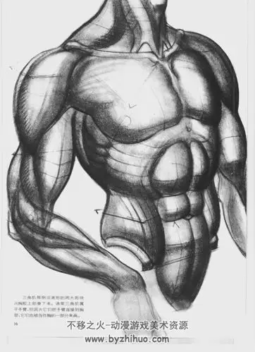 动态素描·人体结构教程 pdf格式百度网盘分享观看