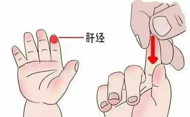 肝经穴就在孩子手掌上食指从指根到指尖的地方,从指根往指尖推就是