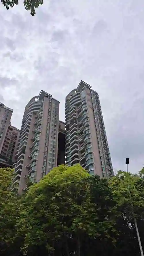 金地海景翠堤湾龙玺-"绿树成荫,这个社区建设,还是挺靠谱的.