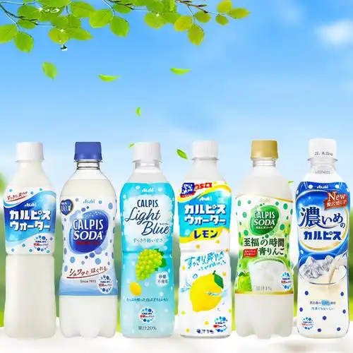 预售日本原装进口可尔必思calpis乳酸菌饮料500ml24瓶含乳饮料