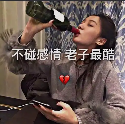 不碰感情   老子最酷 214        赞                   评论