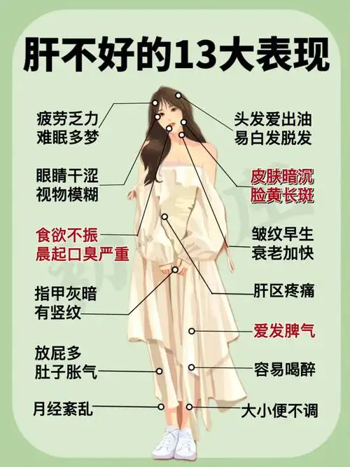 肝不好的表现及伤肝行为92女生养颜先养肝