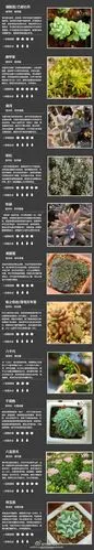 快来看看强人整理的100种多肉植物图↓↓一次认多肉植物卡片介绍多肉