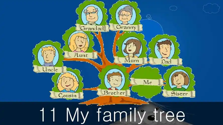 u11 our family tree我们的家谱树