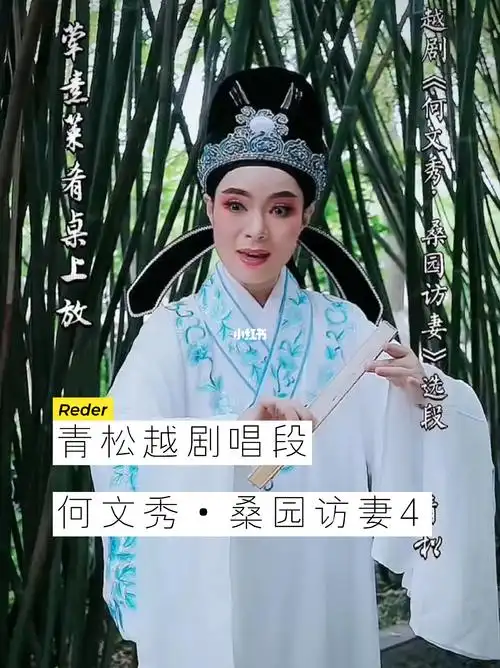 越剧何文秀桑园访妻完结