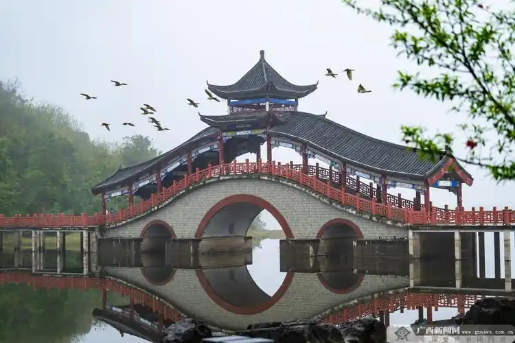 水清岸绿生态美,河池罗城葫芦山前白鹭飞-广西新闻网