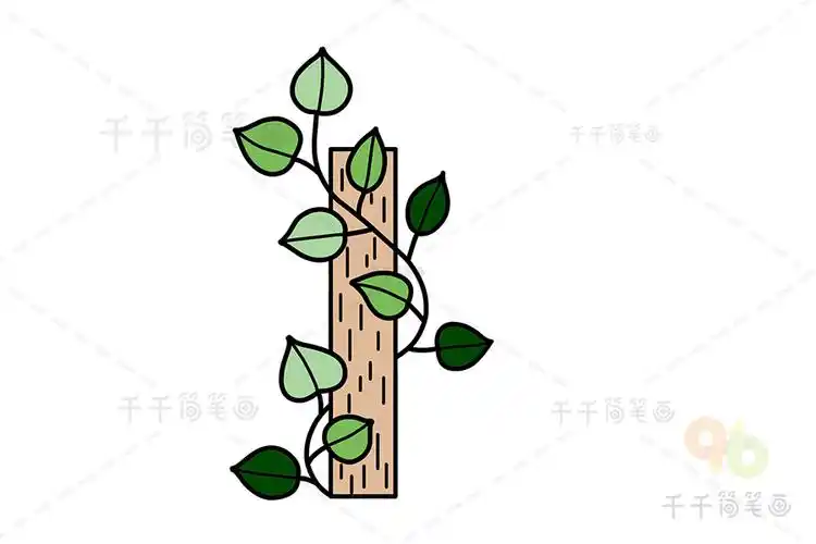 绿萝简笔画 简单易学_绿色植物简笔画