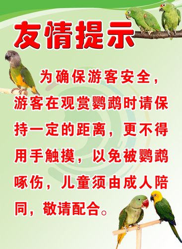 751海报印制展板写真喷绘63动物园景区鹦鹉表演区友情提示牌