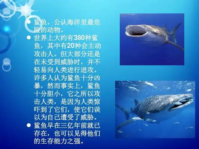 鲨鱼(丰富有趣的课堂)ppt